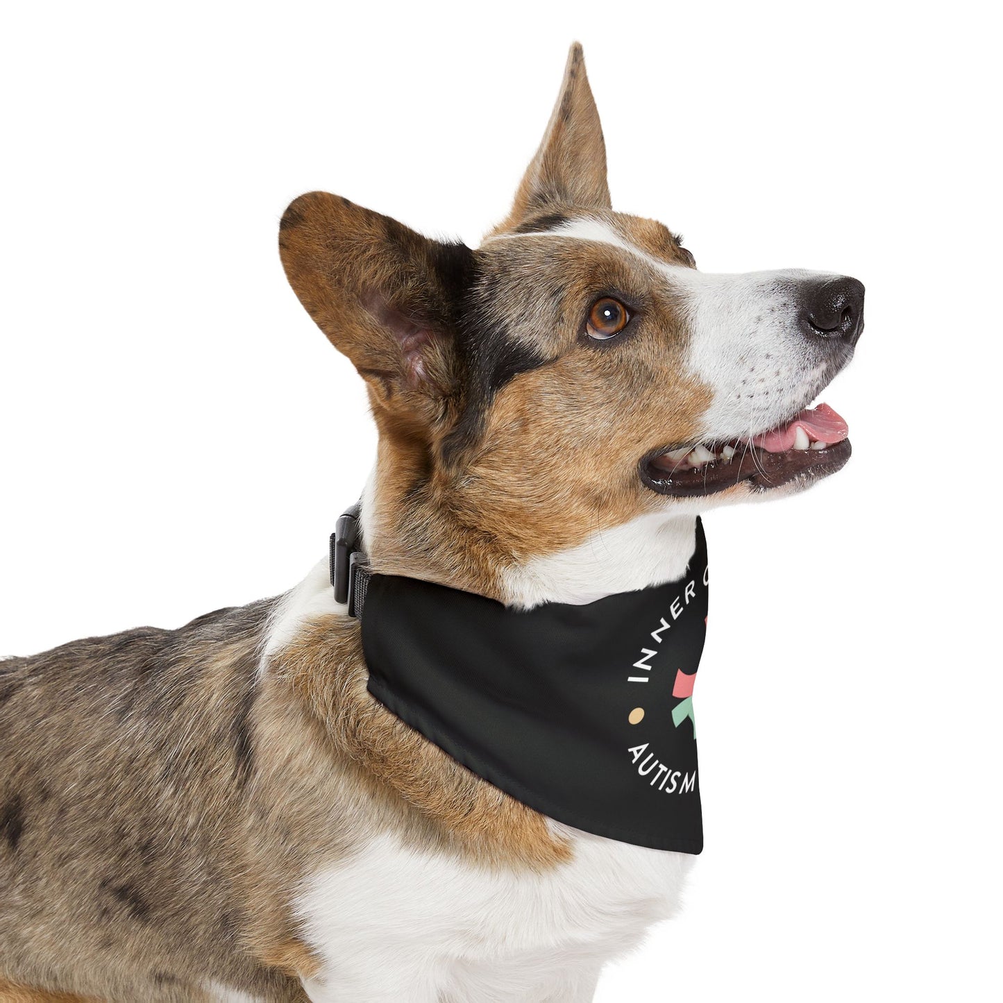 Pet Bandana Collar